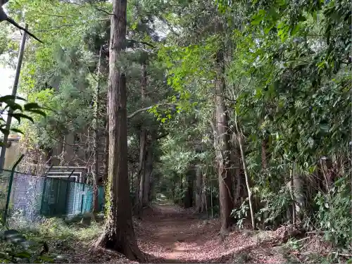 柏田神社(茨城県)