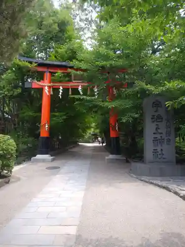 宇治上神社の鳥居