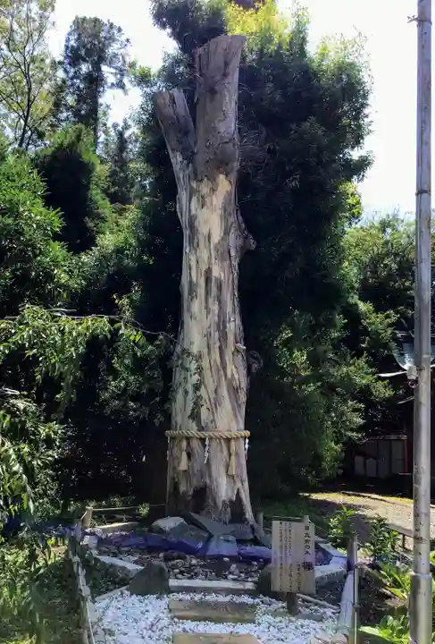 鹿嶋神社の自然
