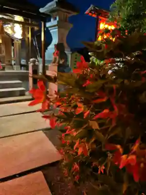 木田神社(福井県)