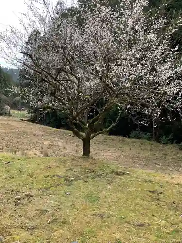 岩戸神社の自然