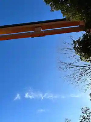 川越氷川神社(埼玉県)
