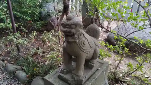 菊田神社の狛犬