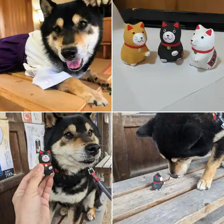 日本唯一香辛料の神 波自加彌神社(石川県)