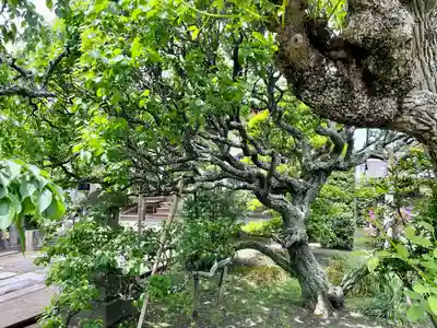通校神社(神奈川県)