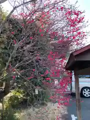 東伏見稲荷神社の自然