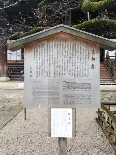 真正極楽寺（真如堂）の{uncategorized: "未分類", other: "その他", undefined: "問題あり", building: "その他建物", grave: "お墓", sacred_gate: "鳥居", guardian: "狛犬", statue: "像", buddha: "仏像", history: "歴史", nature: "自然", garden: "庭園", animal: "動物", pagoda: "塔", temizu: "手水舎", mountain_gate: "山門・神門", sanctuary: "本殿・本堂", subordinate: "末社・摂社", art: "芸術", scenery: "景色", jizo: "地蔵", ema: "絵馬", goshuin: "御朱印", omikuji: "おみくじ", items: "授与品その他", amulet: "お守り", goshuincho: "御朱印帳", eats: "食事", festival: "お祭り", votive_dance: "神楽", shichigosan: "七五三参", wedding: "結婚式", experience: "体験その他", initially: "初詣", around: "周辺", anti_infection: "感染症対策"}