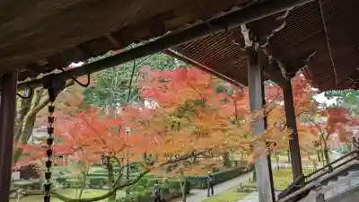 真正極楽寺(真如堂)(京都府)