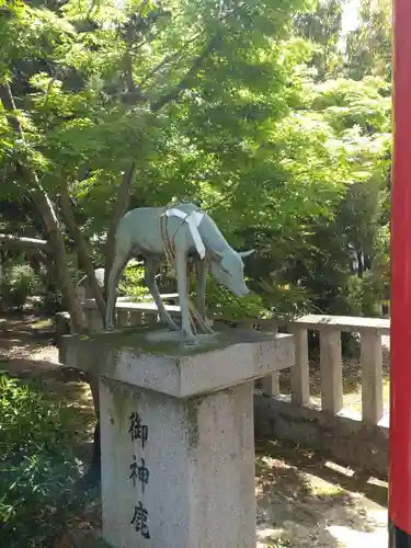 立木神社の狛犬