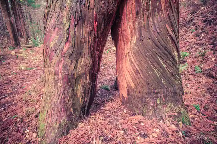 金峯神社(山形県)