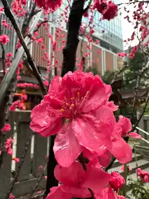福徳神社（芽吹稲荷）(東京都)