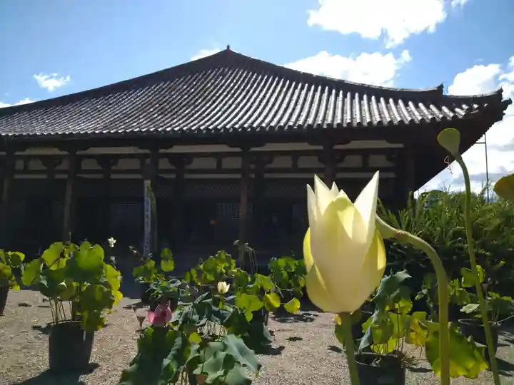 元興寺(奈良県)