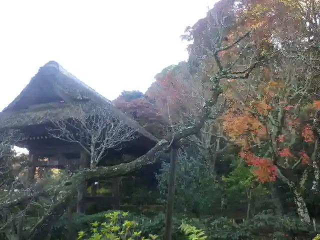 東慶寺の自然