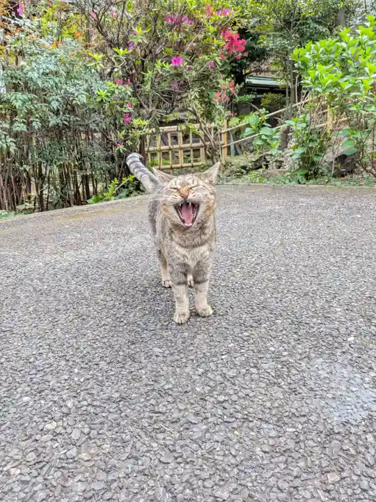 白金氷川神社(東京都)