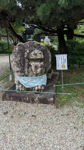 京都乃木神社の狛犬