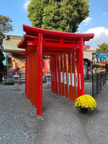 相模原氷川神社の鳥居