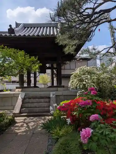 圓照寺(東京都)