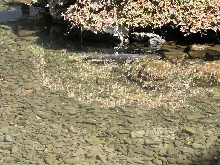 子安神社(東京都)