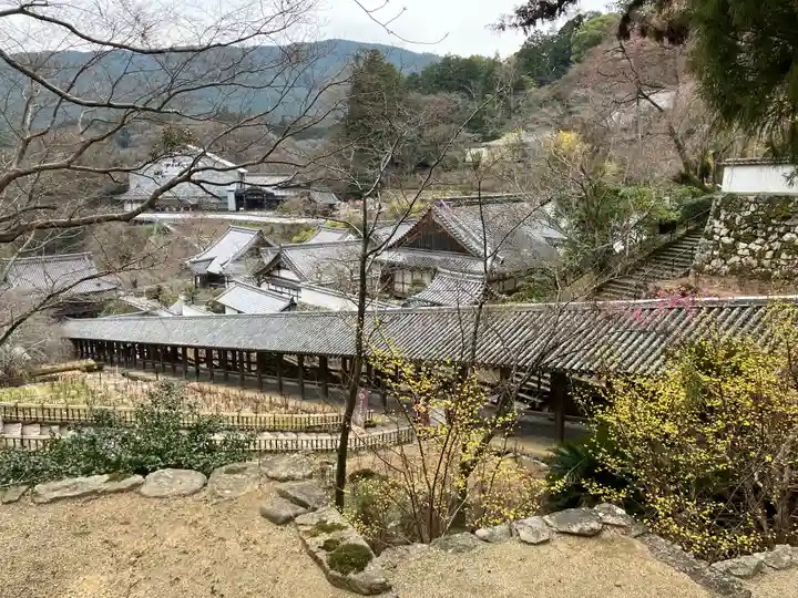 長谷寺(奈良県)