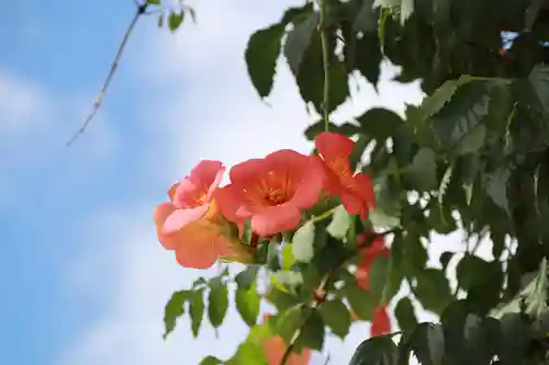 大鏑神社の自然