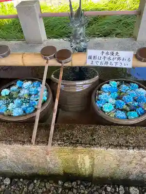 津島神社の手水舎