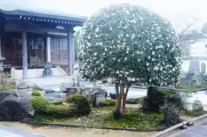 浄土寺(兵庫県)(2023年12月17日(日) 07時22分19秒投稿)