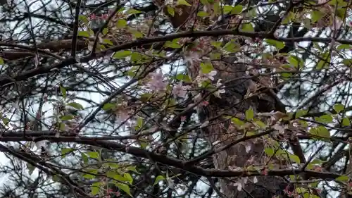 上川神社(北海道)