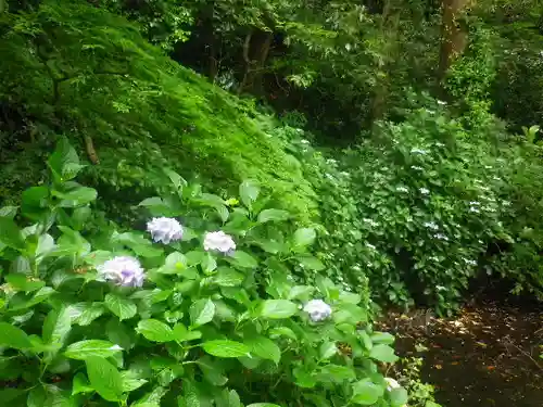 蛇苦止明神（蛇苦止堂）の自然