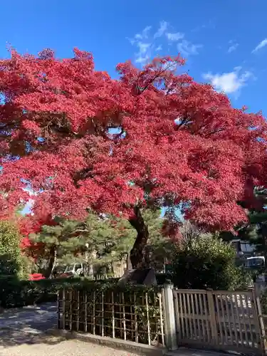 両足院(京都府)