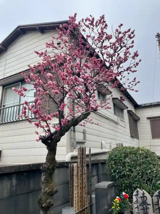 長運寺の{uncategorized: "未分類", other: "その他", undefined: "問題あり", building: "その他建物", grave: "お墓", sacred_gate: "鳥居", guardian: "狛犬", statue: "像", buddha: "仏像", history: "歴史", nature: "自然", garden: "庭園", animal: "動物", pagoda: "塔", temizu: "手水舎", mountain_gate: "山門・神門", sanctuary: "本殿・本堂", subordinate: "末社・摂社", art: "芸術", scenery: "景色", jizo: "地蔵", ema: "絵馬", goshuin: "御朱印", omikuji: "おみくじ", items: "授与品その他", amulet: "お守り", goshuincho: "御朱印帳", eats: "食事", festival: "お祭り", votive_dance: "神楽", shichigosan: "七五三参", wedding: "結婚式", experience: "体験その他", initially: "初詣", around: "周辺", anti_infection: "感染症対策"}