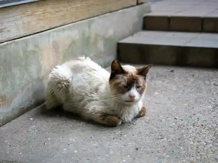 息栖神社(茨城県)