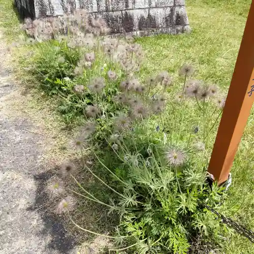 和氣神社（和気神社）の自然
