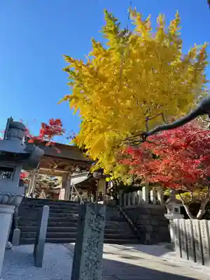 紅葉八幡宮(福岡県)