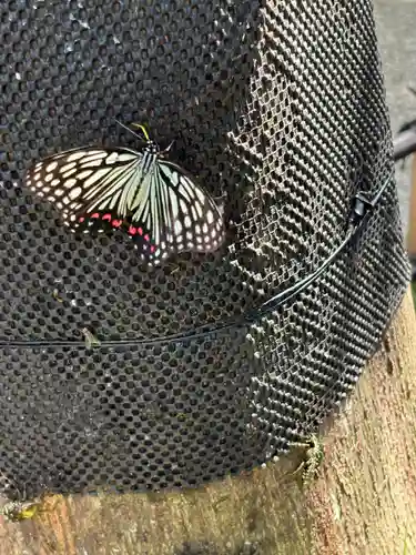 川越八幡宮(埼玉県)