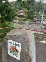 祐徳稲荷神社(佐賀県)