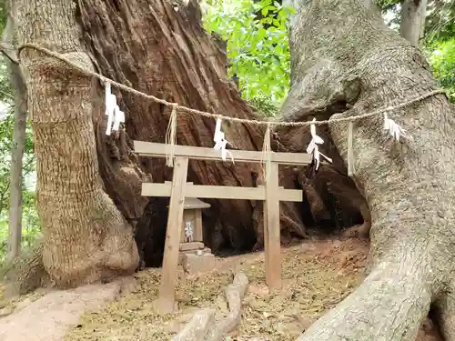 住吉神社の末社