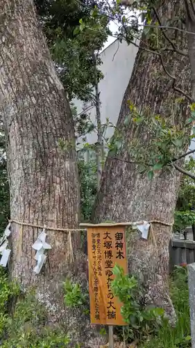 宮地嶽神社の自然