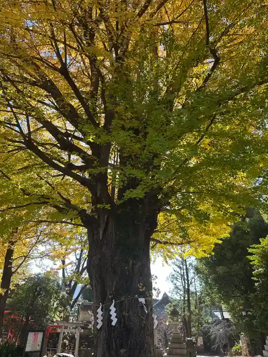 鳩森八幡神社(東京都)