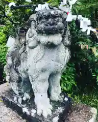 賀蘇山神社の狛犬