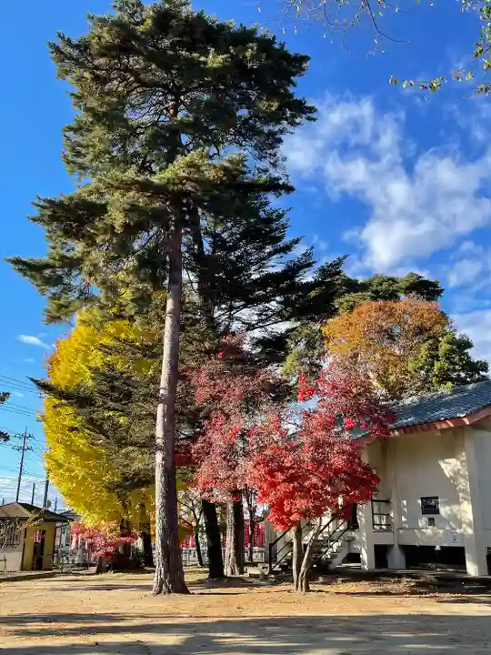 下野國一社八幡宮(栃木県)