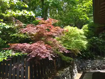 平塚八幡宮(神奈川県)