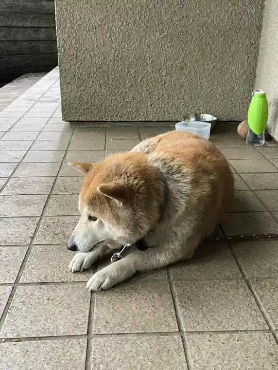 笠䅣稲荷神社(神奈川県)