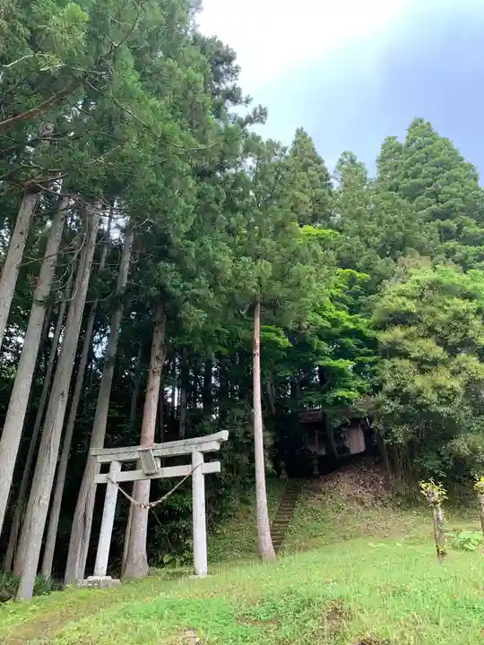 白山神社の鳥居