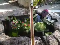 阿智神社の手水舎