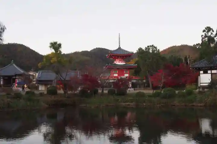大覚寺(京都府)