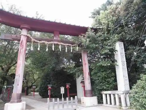 鷲宮神社の鳥居