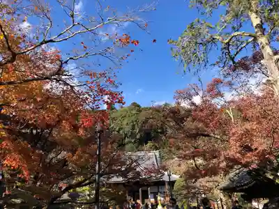 修禅寺(静岡県)