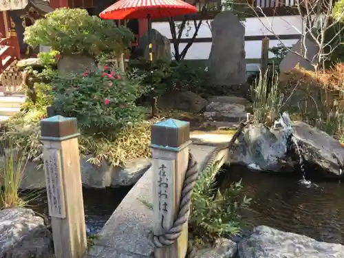 素盞雄神社の庭園