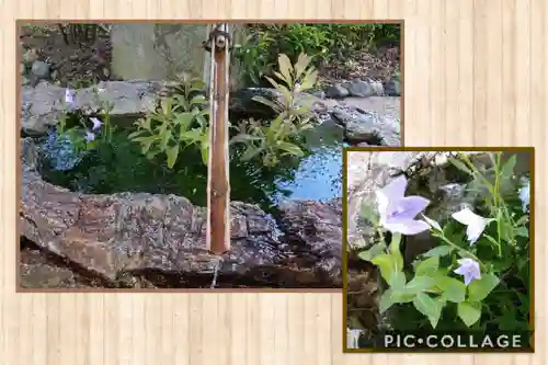 阿智神社の手水