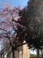 円性寺(千葉県)